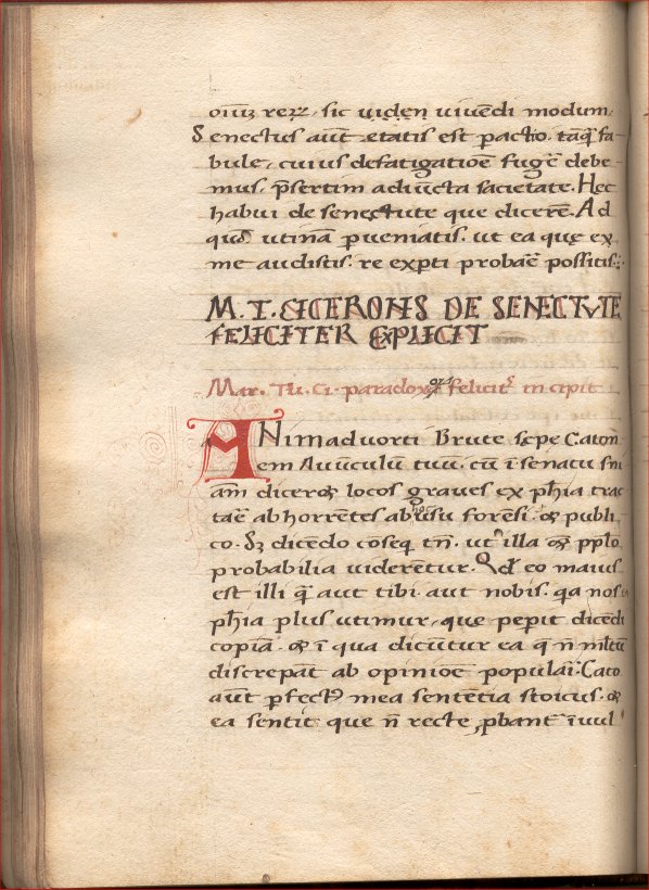 paradoxa